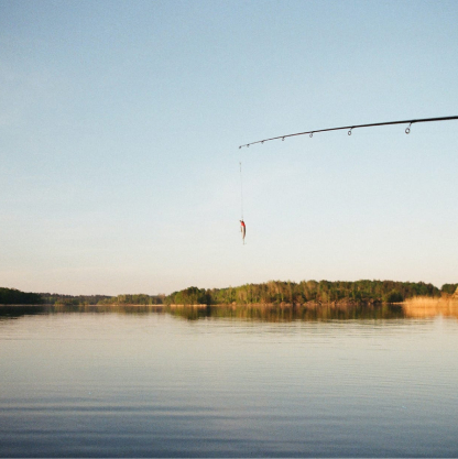 A live catch on a fishing line with an expansive lake and trees in the background