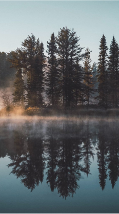 Nature photo of a forest reflected in a lake, sun lights the mist drifting across the water